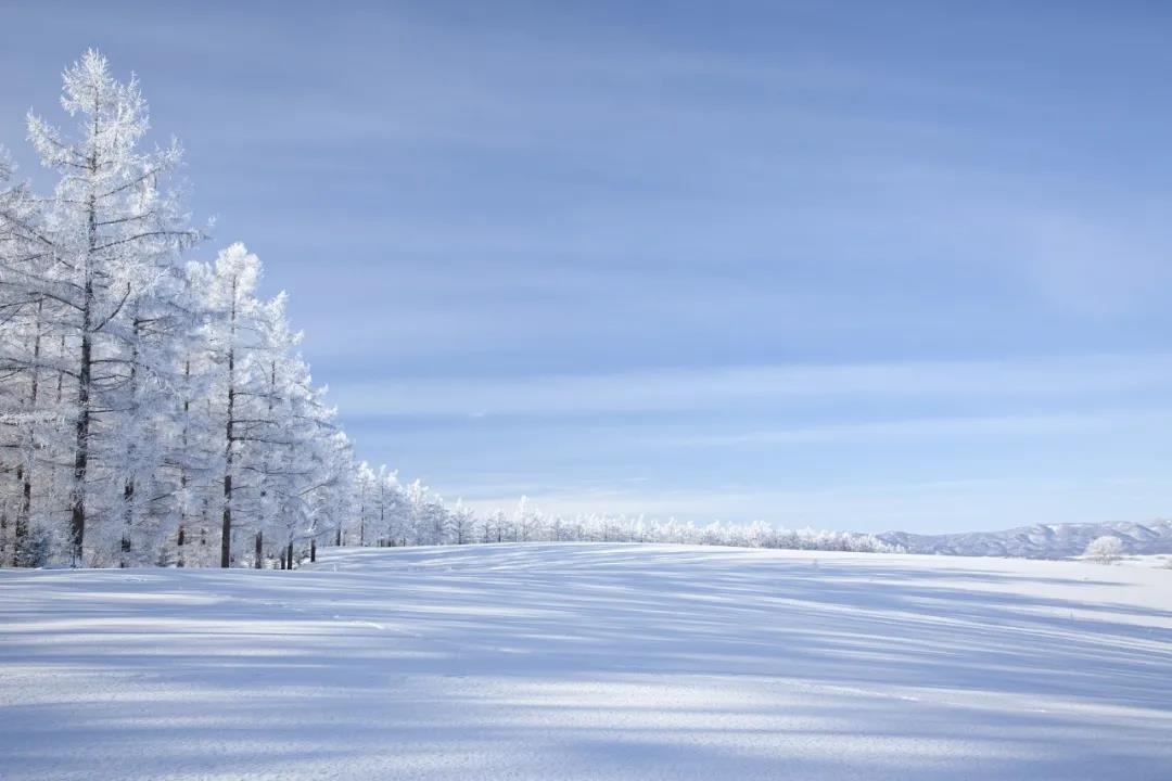 今日大雪!品读雪中意境!
